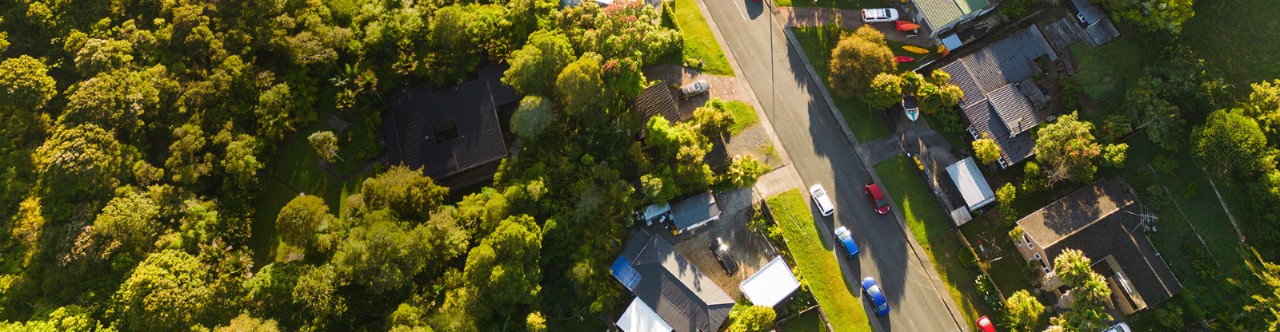 home within a lush green environment